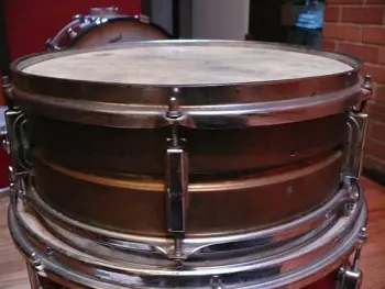 Mystery Snare ID Help