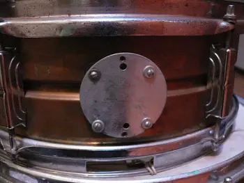 Mystery Snare ID Help