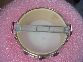Mystery Snare