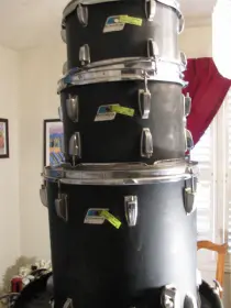 Ludwig Black Panthers