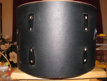 Ludwig Black Panther