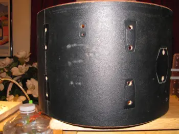 Ludwig Black Panther