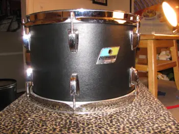 Ludwig Black Panther