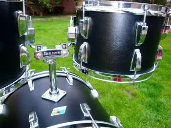 Ludwig Black Panther