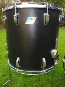 Ludwig Black Panther