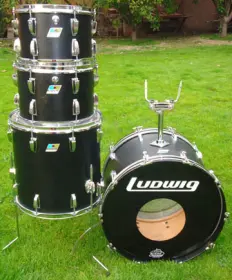 Ludwig Black Panther