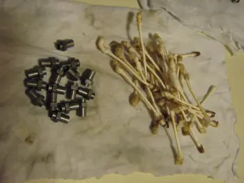 How many Q-Tips?