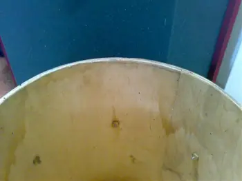 Info Req for 1930's Marius Renatus Drum set