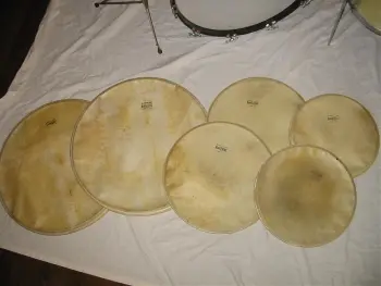 50's Radio King kit w/ single ply snare