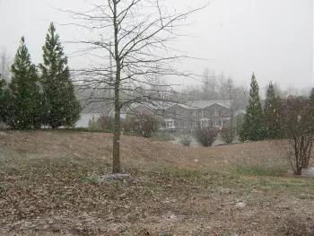 It's snowing!!!