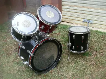 Ludwig New Yorker