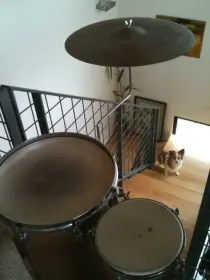 50's Gretch drum set and coctail kit too