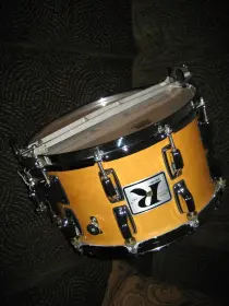 Maple Dynasonic