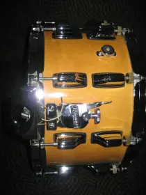 Maple Dynasonic