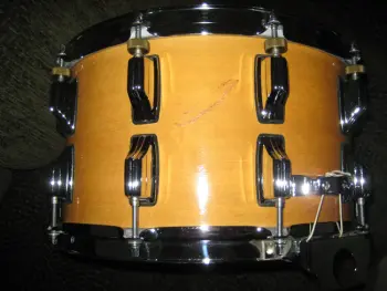 Maple Dynasonic