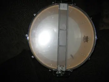 Maple Dynasonic