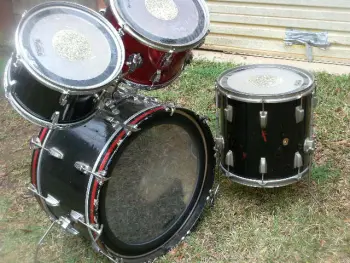 Ludwig New Yorker
