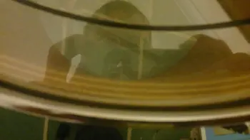need help identifying kit