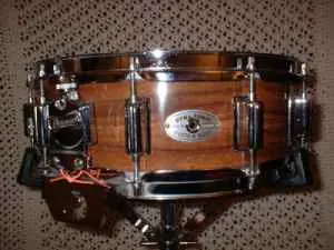 Rogers Wood Koa wrap Dynasonic - Layaway offered!