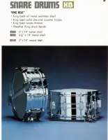 Can anyone identify the age of this TAMA ROYALSTAR Snare???
