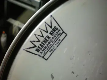 Vintage WEATHER KING heads wanted !!!
