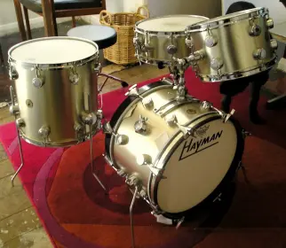 just picked up this Hayman kit