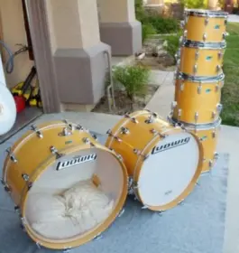 1971 Ludwig Maple Finish Bo Diddley Kit!
