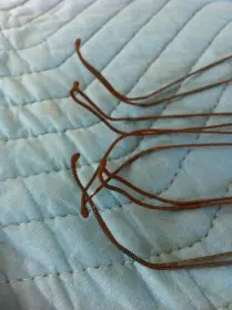 PRE-WW11 WFL Bass and Snare found
