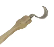 tucking a calf head
