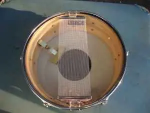 Rogers Blue Ripple Pearl snare on....