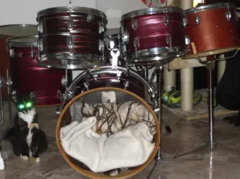 Expert help needed to identify another 5-piece vintage pawn shop beauty!!!!!!!