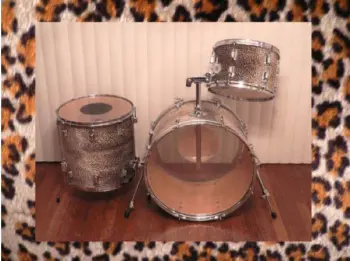 Just in time for Christmas - Luddy Standard wrapped in leopard skin