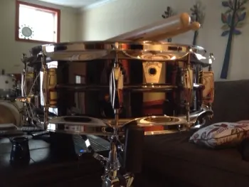 Black Beauty Snares