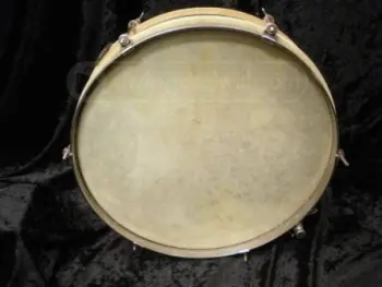 Calf Skin Snare head