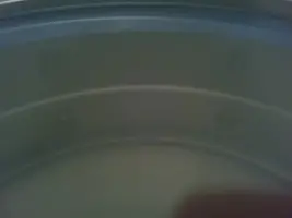 Is this snare original or has it been modified?