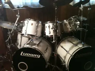 8 pc ludwig