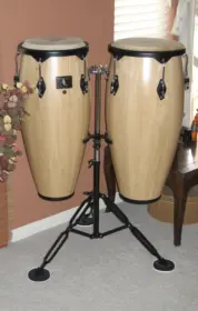 Congas Anyone?