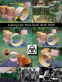 Looking for 3ply ludwig shells bonham sizes