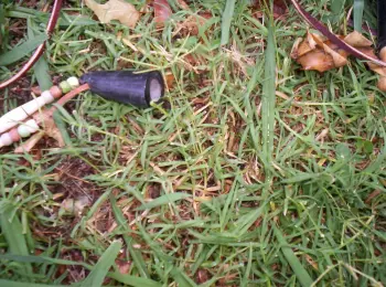 Real Powder Horns for Drum Corps