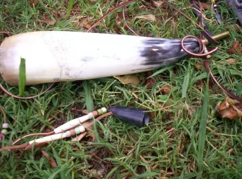 Real Powder Horns for Drum Corps