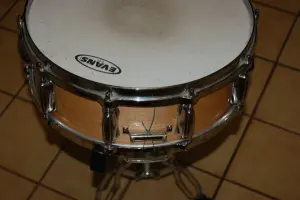 Slingerland ID Help