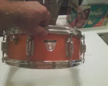 Ludwig Standards?