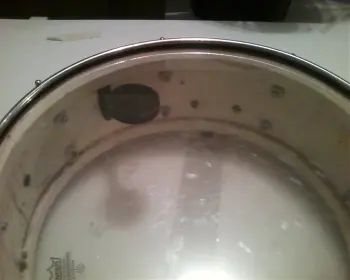 Ludwig Standards?