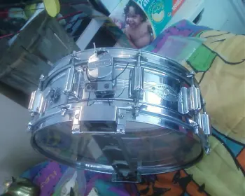 Ludwig Standards?
