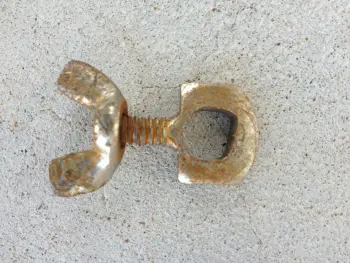 My Summer Project Find!!!  Help Please!