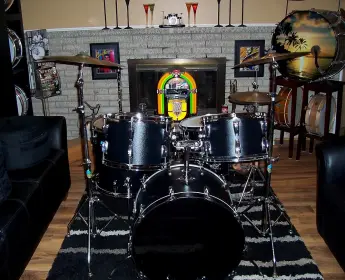 Ludwig Black Panther