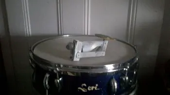 Kidney/Comma shaped drum