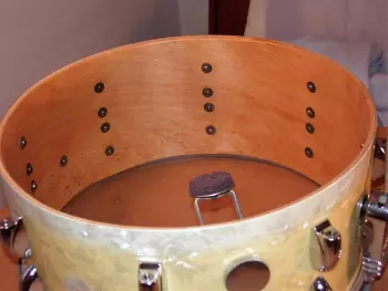 3 Ply Gretsch Shell?