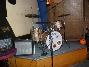 Ludwig Kit At Holloween Party
