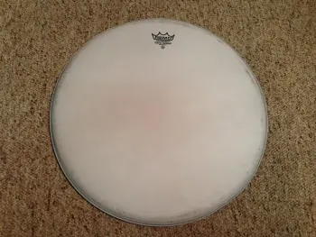 17&quot; Coated Emperor - Free